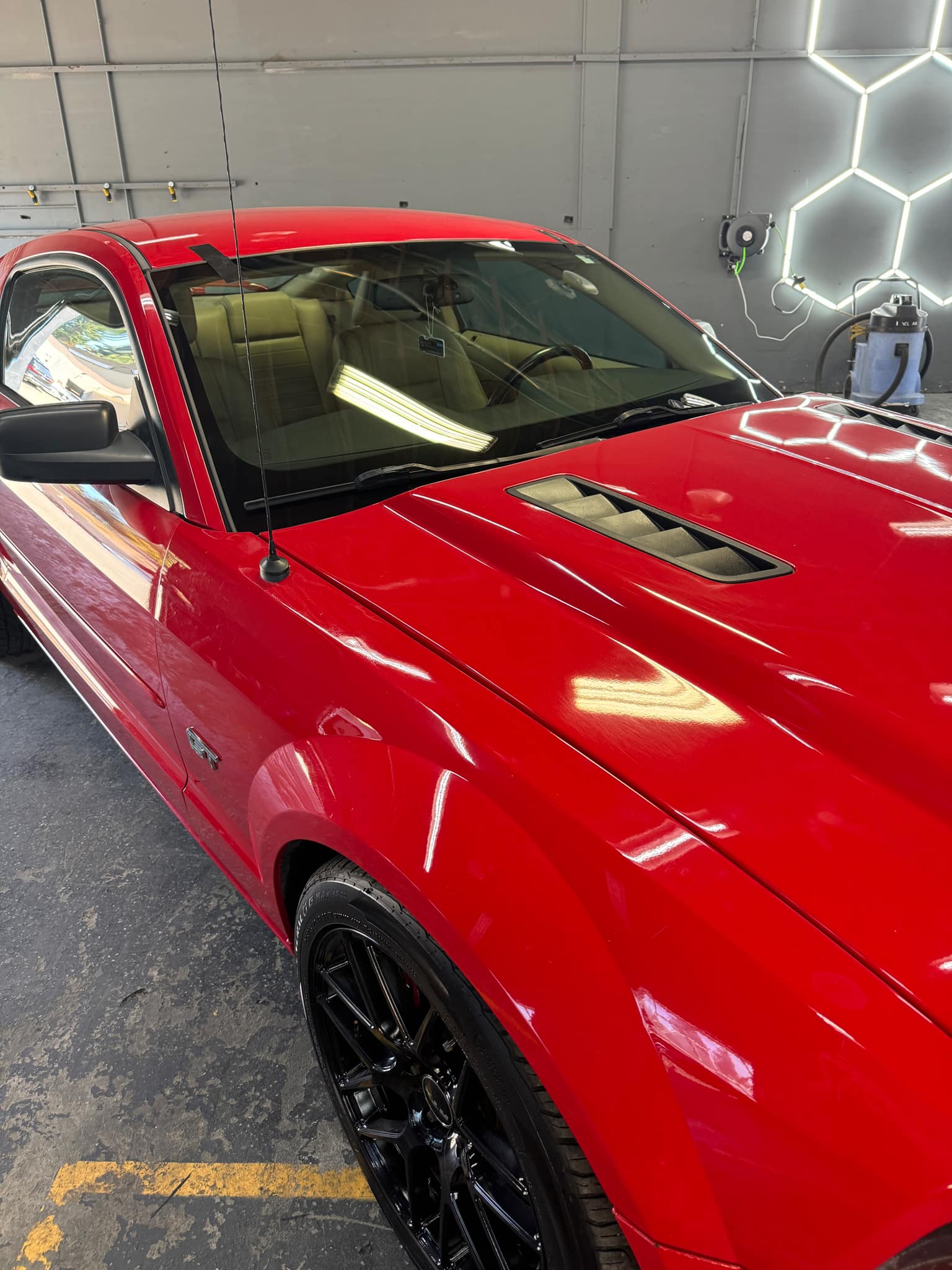 Mustang Windshield Replacement